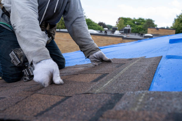 Best Slate Roofing Contractor  in Hillsdale, MI