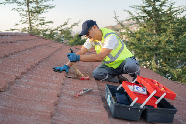 Best Storm Damage Roof Repair  in Hillsdale, MI